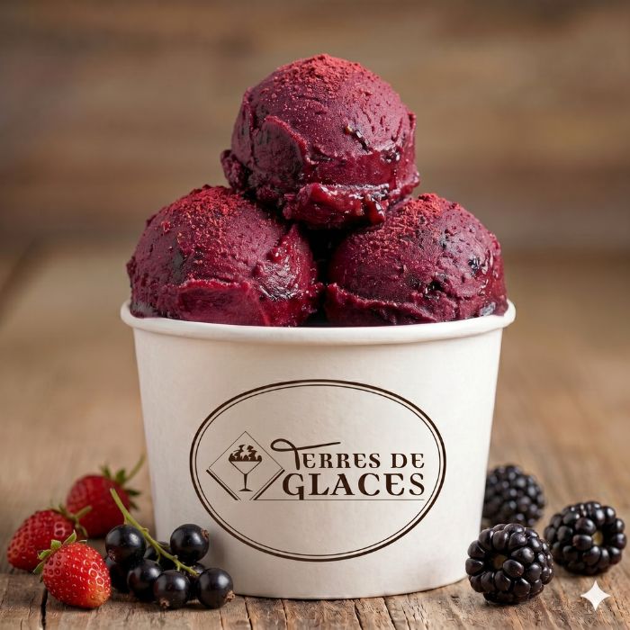 sorbet fruits rouges : fraise, cassis, mûre
